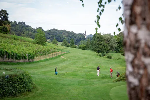 Gostišče, vinarstvo in golf Amon