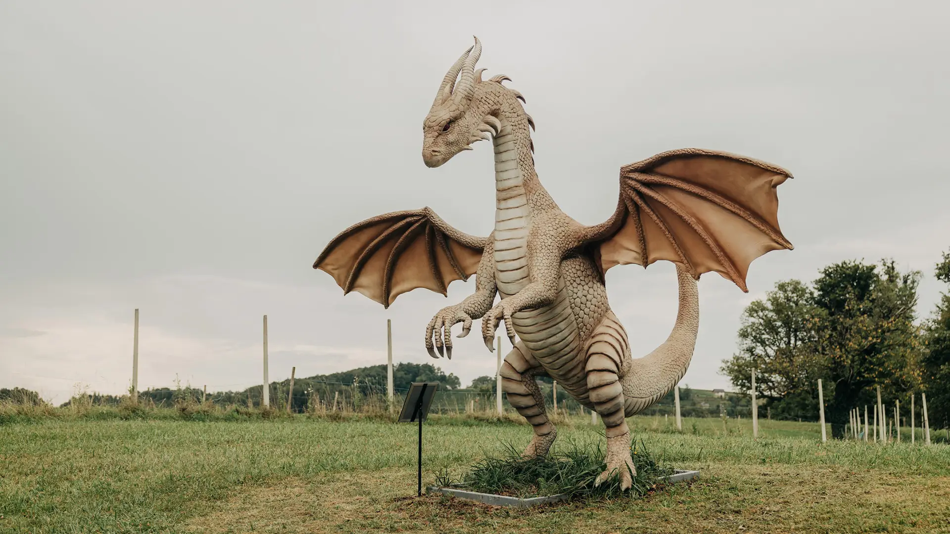 dragonland