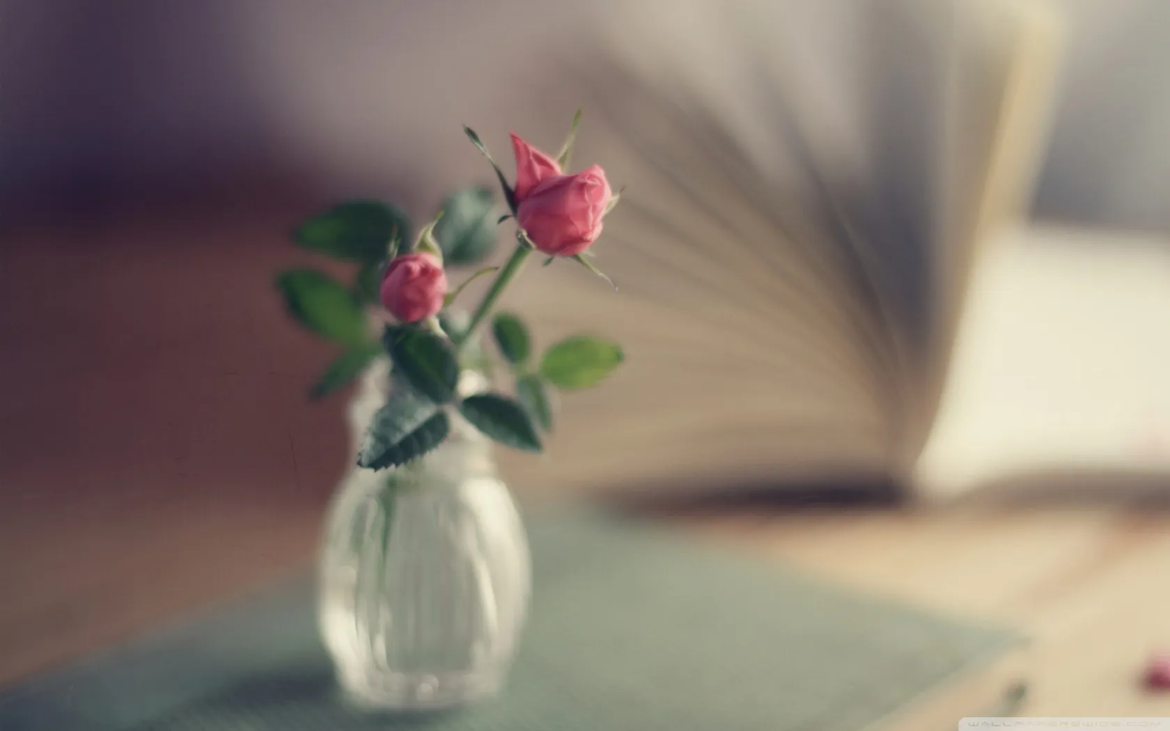 memory_2-wallpaper-1680x1050.jpg