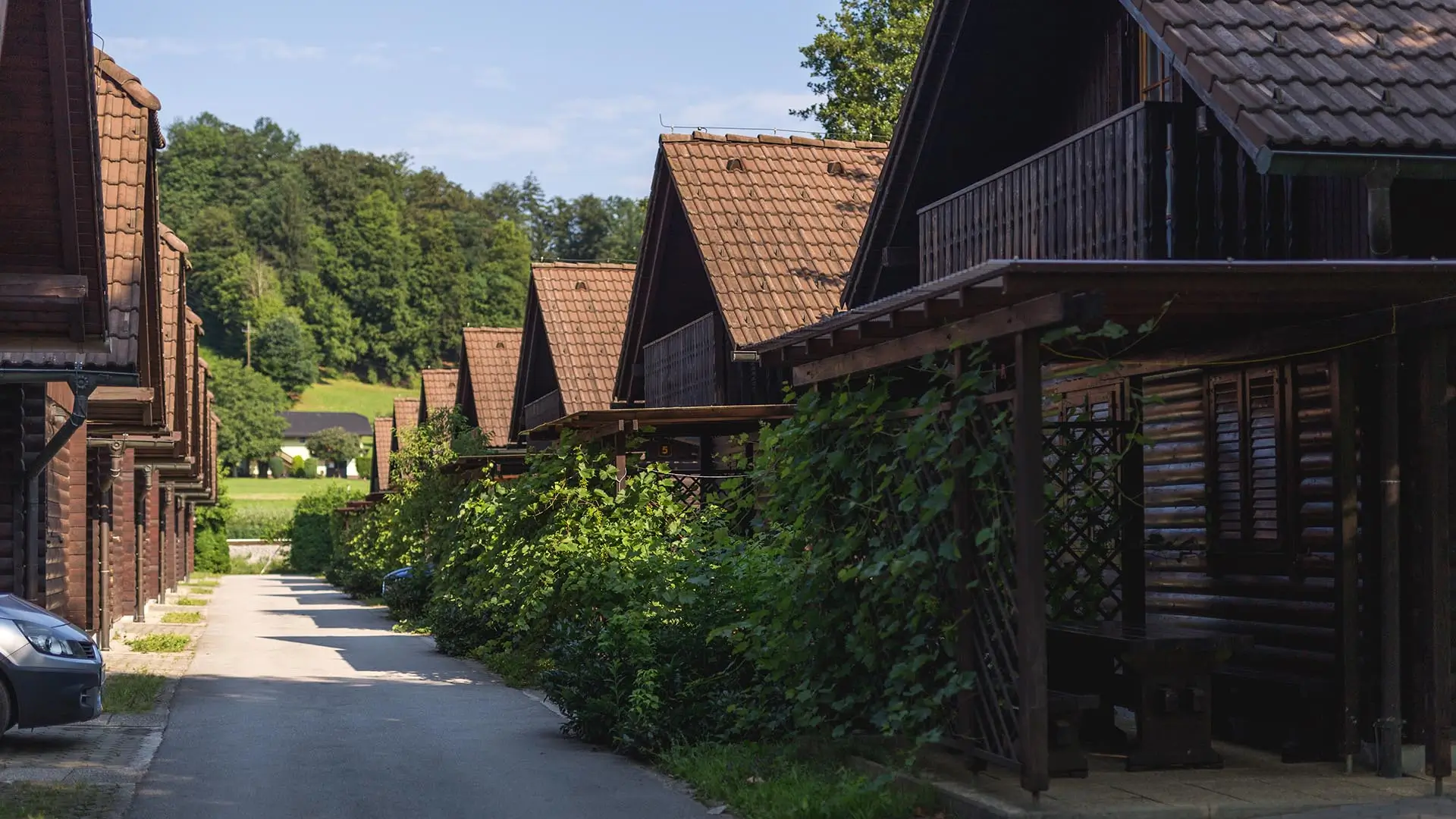Camp-Natura-Terme-Olimia-023.webp